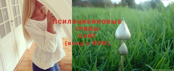 MDMA Бородино