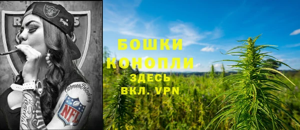 ешки Верхний Тагил