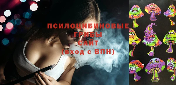 ALPHA PVP Тобольск