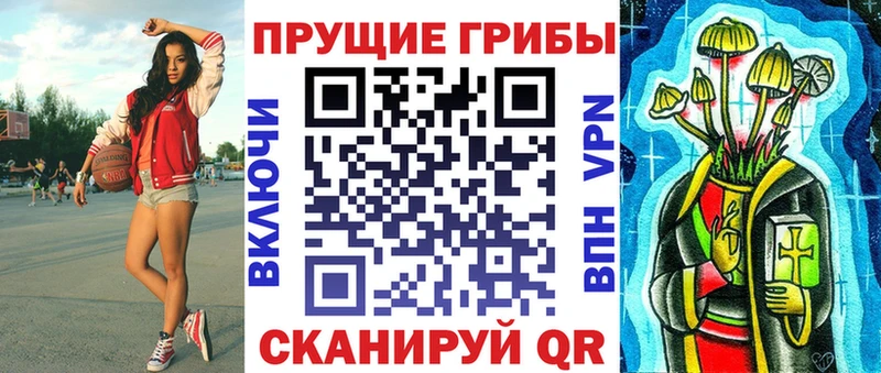 где можно купить   Снежногорск  Галлюциногенные грибы Magic Shrooms 